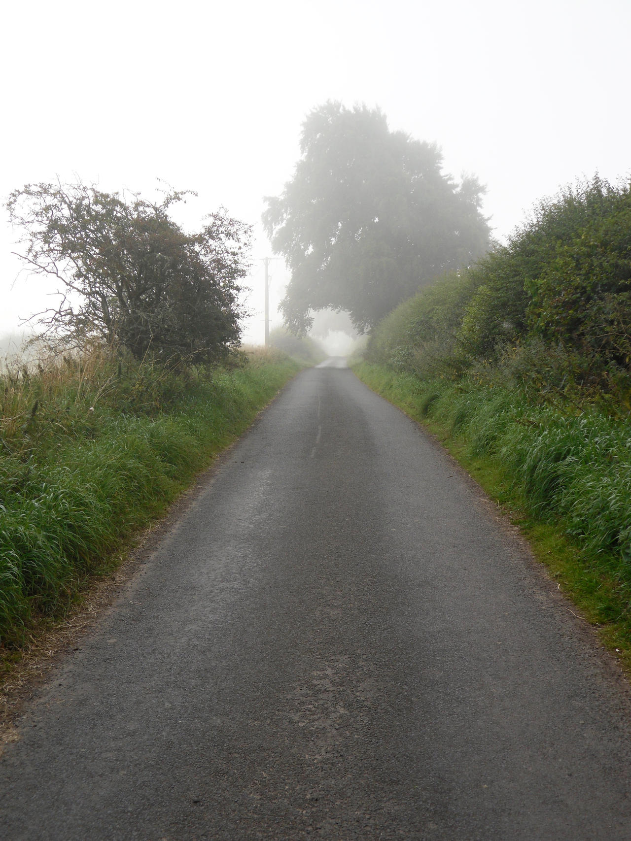 Foggy, Misty Road Stock