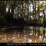 Eye Level Pond View Stock