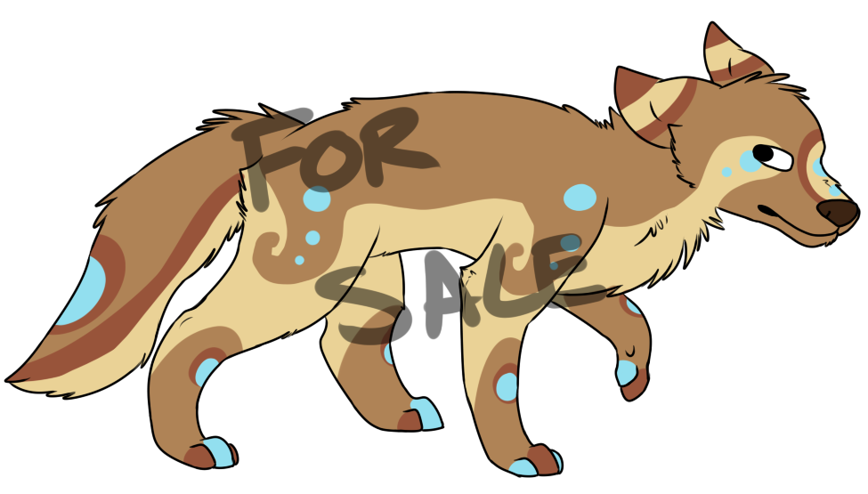 Coyote adoptable