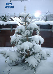 Snowy christmas tree