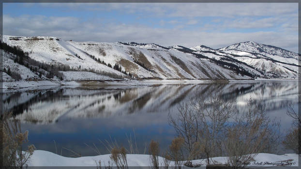 winter Reflection