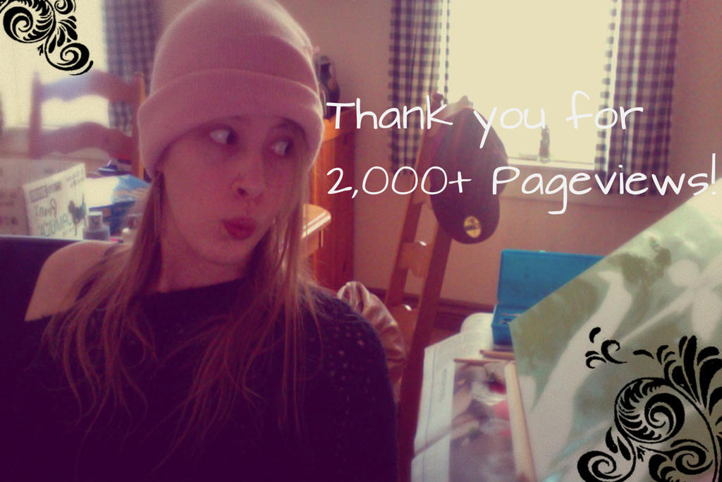 Thank You for 2,000+ Pageviews!!