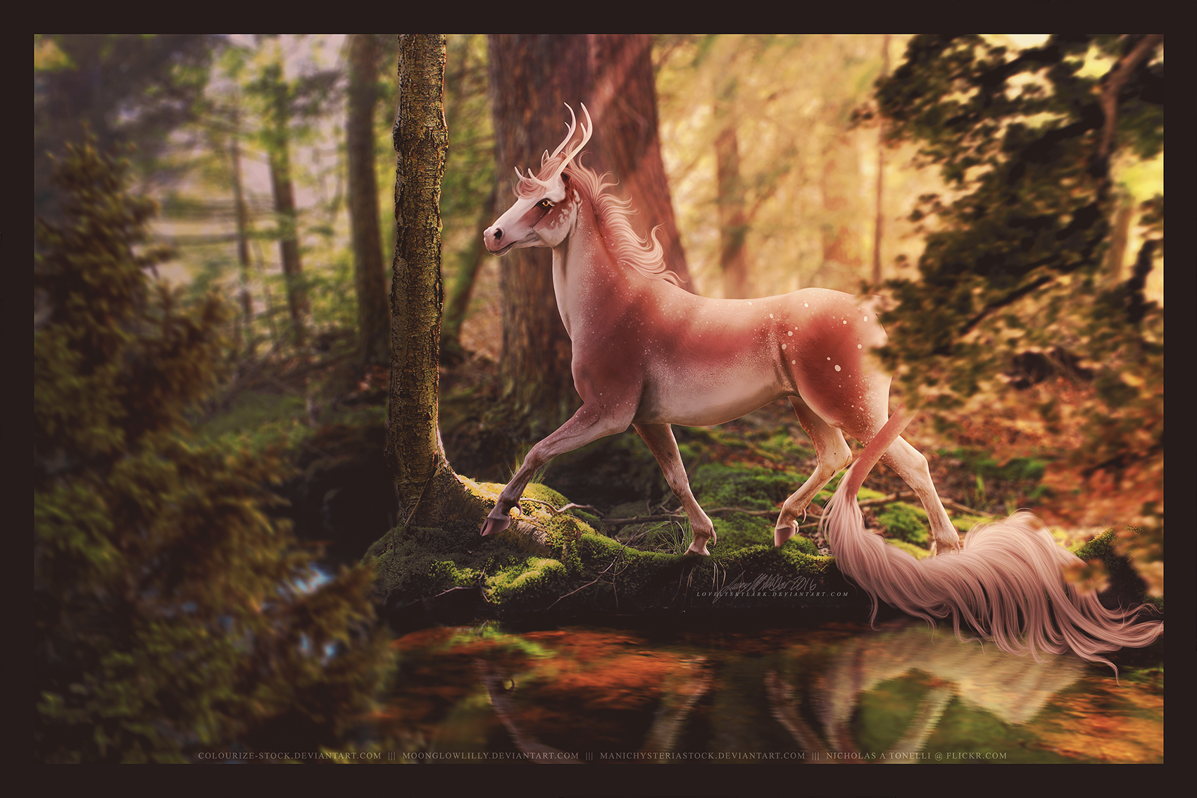 GIFT -- full of light by lovelyskylark