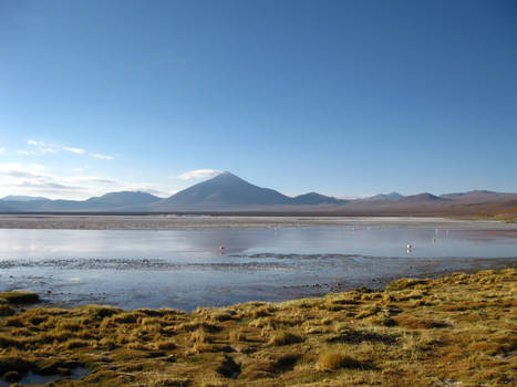 More Andean Landscape