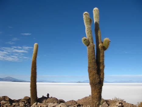 Salar De Uyuni