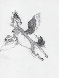 A Flying Horse That Also Has Wings