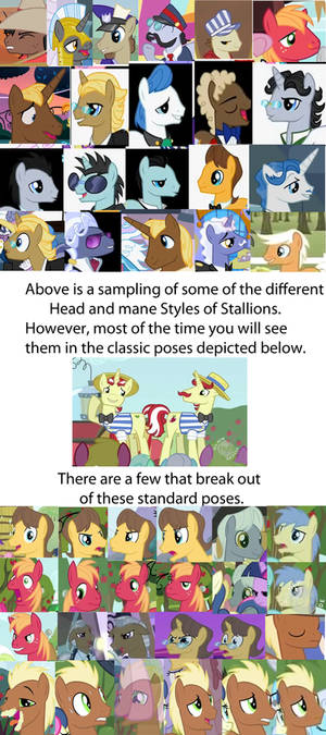 MLP:FiM Stallion Head Perspectives