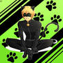 [Miraculous Ladybug] Chat noir