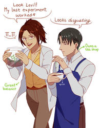 [SnK] Levihan 6