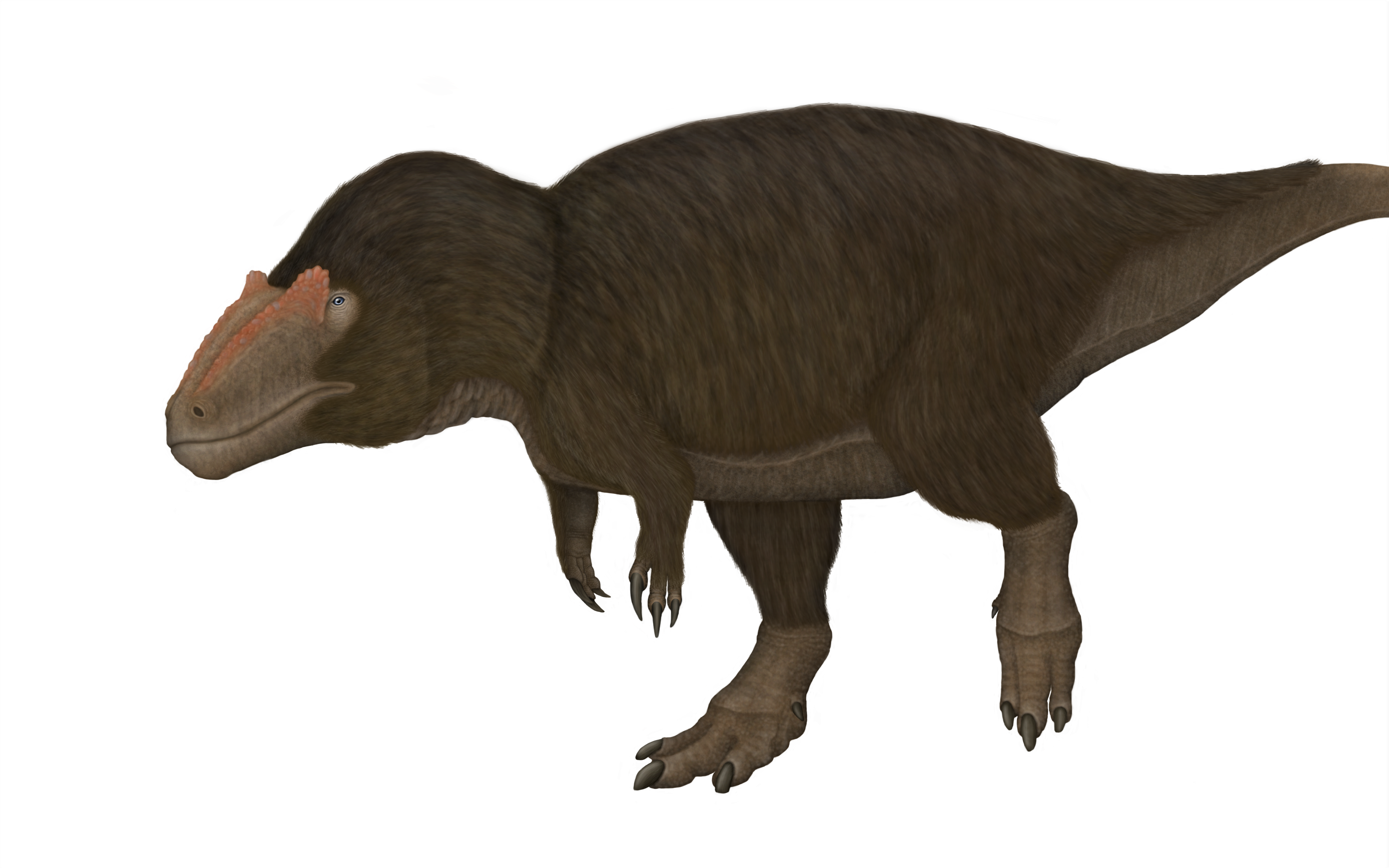 Acrocanthosaurus