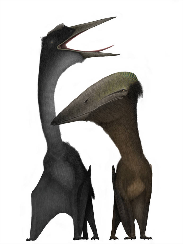 Azher Rind Azhdars by FeatherNerd on DeviantArt