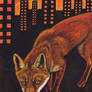 Urban Fox