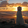 Labrador-full-hd-wallpaper-dog-on-beach-at-sunset-