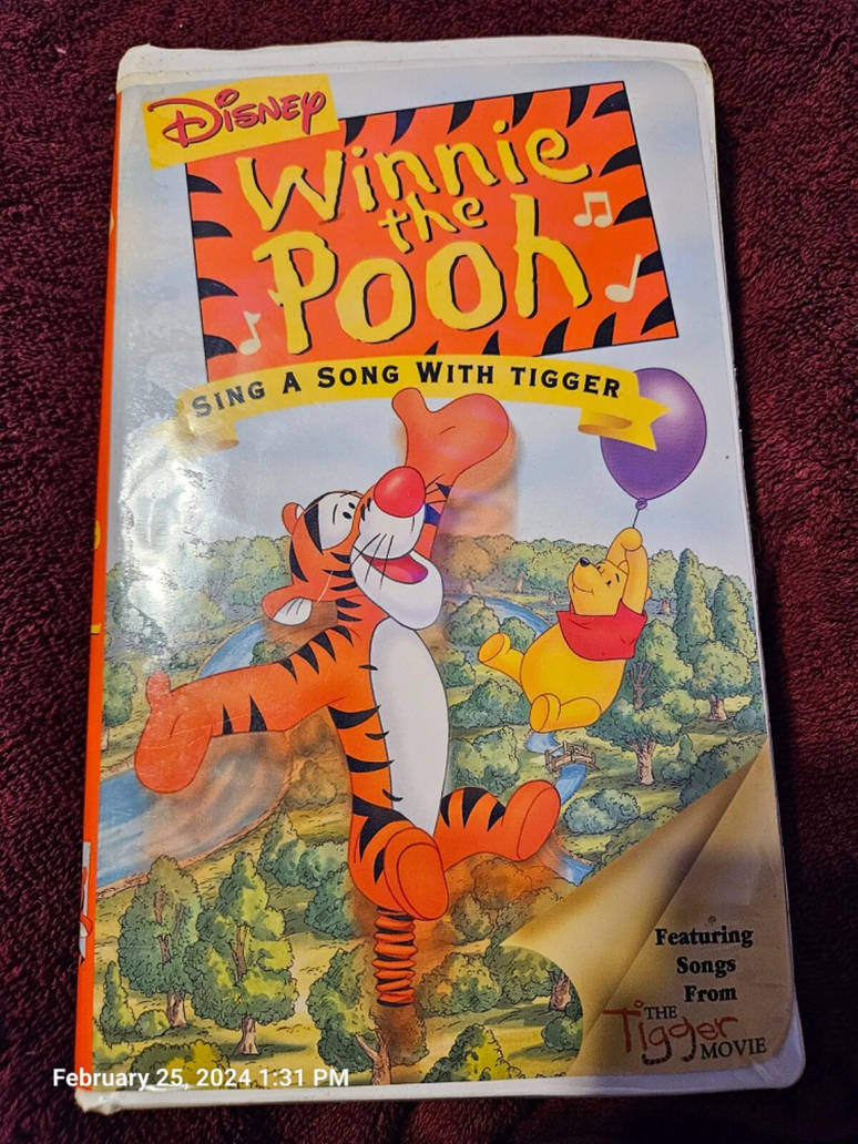 Sing a Song With Tigger (2000) Flashbang Bumpers by NetflixFan1994 on ...