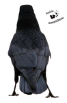 Cut-out stock PNG 58 - crow back by Momotte2stocks