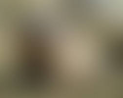 Marmot 64 - sweet young marmot