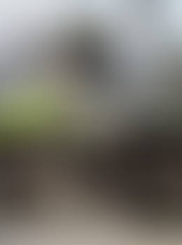 Place 330 - little wooden house