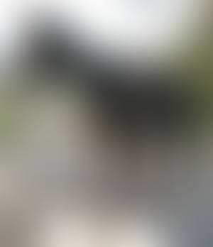 Object 41 - horse's statue made in horseshoe