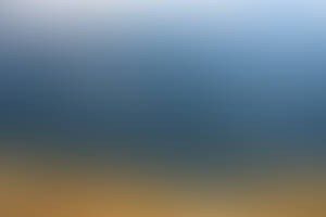 Mountain 362 - dizzy valley