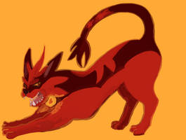 torracat