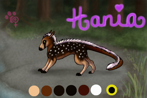 Kayrah species: Hania