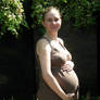 37+ Weeks Conservatory 2