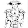 RAIDEN