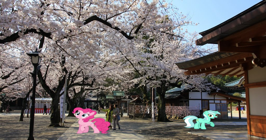 Ponies In Japan