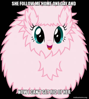 My Fluffle puff Meme 2