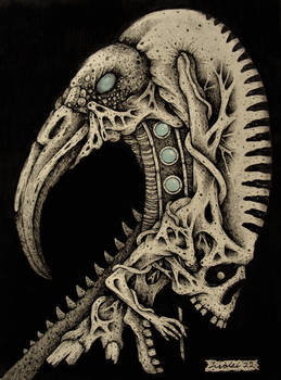 Skull Series II #27 -Scribe