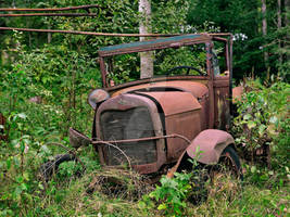 Gold In The Boreal Brake