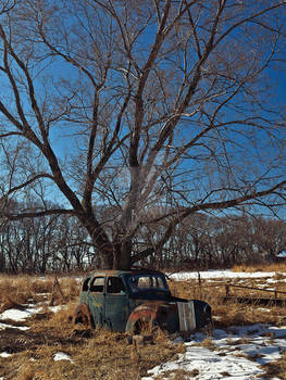 1939-53 Ford Prefect