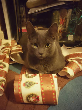 Pixie present wrapper