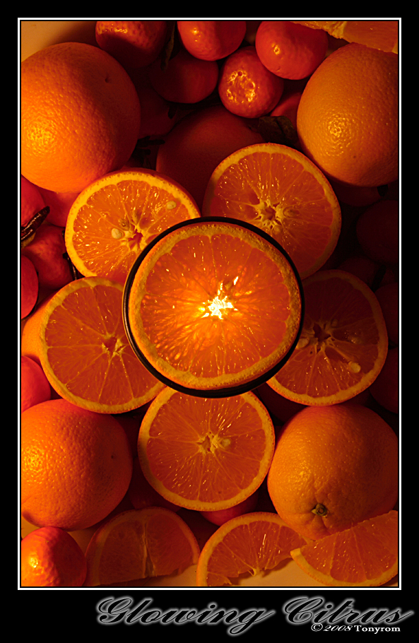 Glowing Citrus