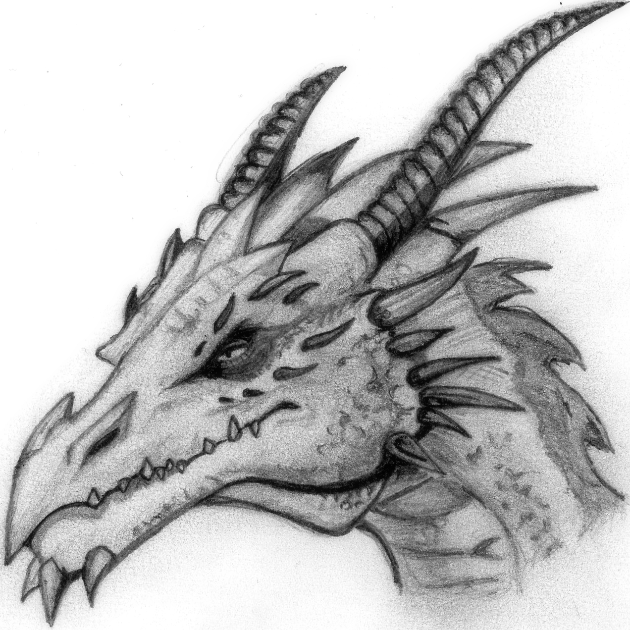 Dragon head