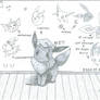 Eevee Evolution Examination