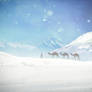 snow camels