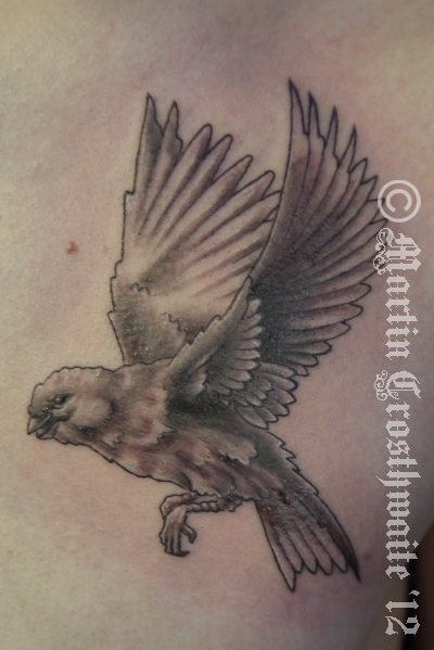 Canary BG Tattoo