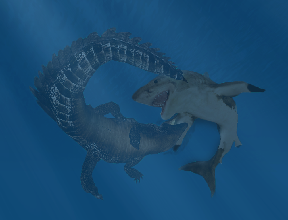 Saltwater Crocodile Vs Great White Shark by SpermWhale165 on DeviantArt Saltwater Crocodile Vs Great White Shark by SpermWhale165 on DeviantArt