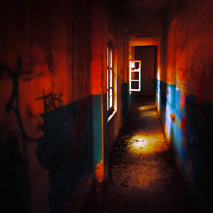 Abandonment asylum