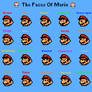Mario Faces