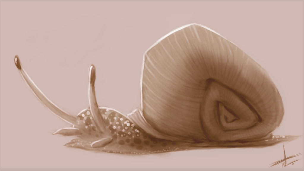 Snail by on DeviantArt