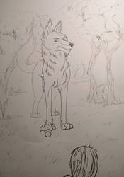 Wolf and Basket Teaser Page