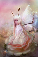 Flower Fairy by jasminira