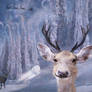 Happy Holidays to all !