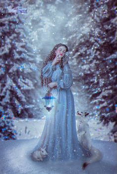 Winter fairy tale