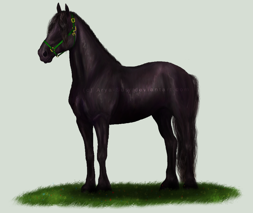 Friesian