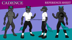 Cadence Ref Sheet