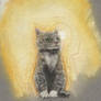 Sun kitty