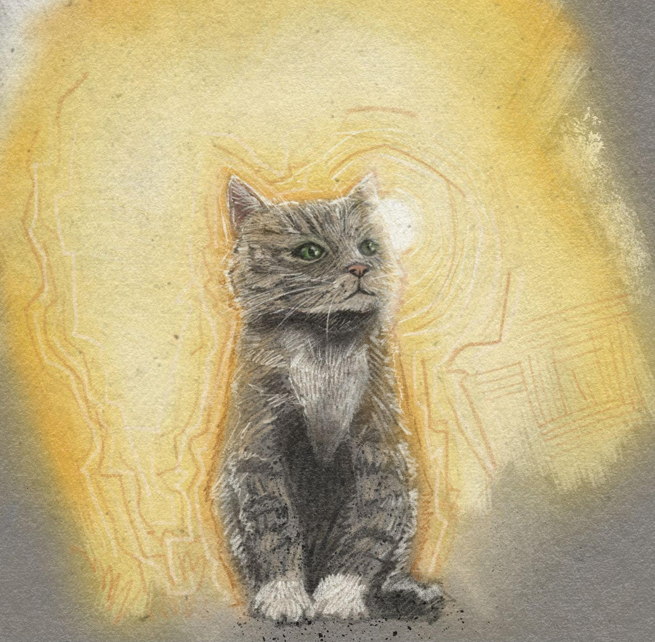 Sun kitty